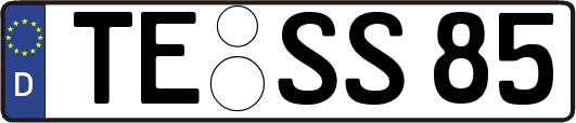 TE-SS85