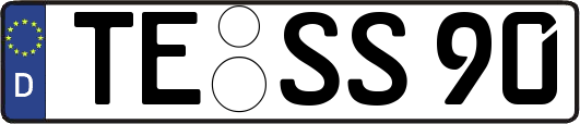 TE-SS90