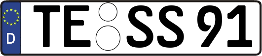 TE-SS91