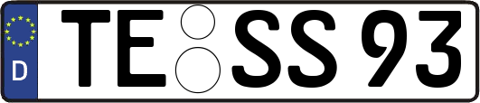 TE-SS93