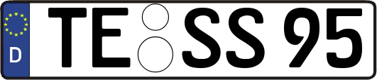 TE-SS95