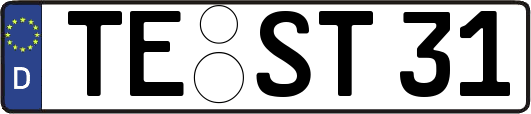 TE-ST31