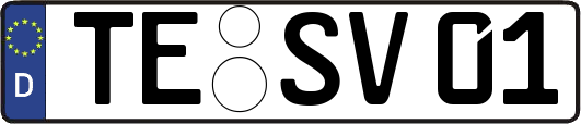 TE-SV01