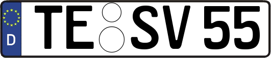 TE-SV55