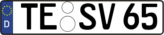 TE-SV65