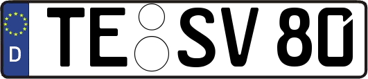 TE-SV80