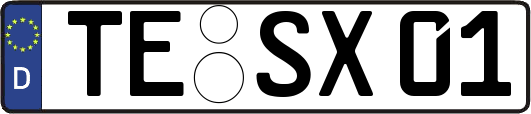 TE-SX01