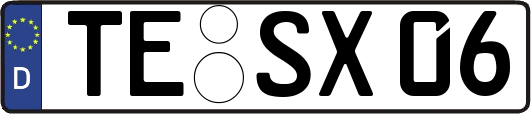 TE-SX06
