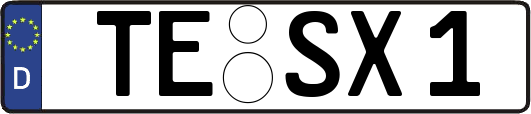 TE-SX1