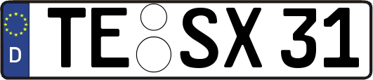 TE-SX31