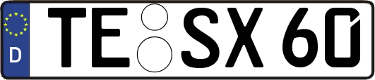 TE-SX60