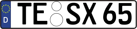 TE-SX65