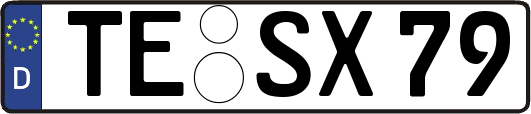TE-SX79