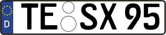 TE-SX95