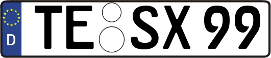 TE-SX99