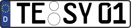 TE-SY01