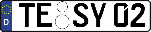 TE-SY02