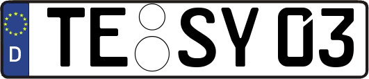 TE-SY03