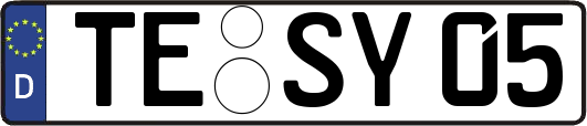 TE-SY05
