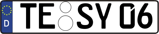 TE-SY06