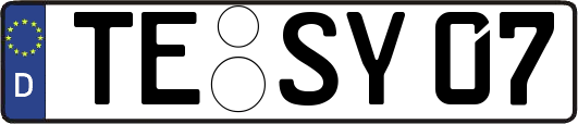 TE-SY07