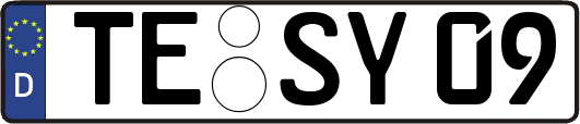 TE-SY09