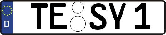 TE-SY1