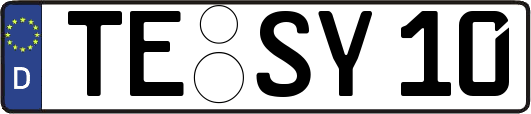 TE-SY10