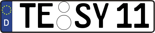 TE-SY11