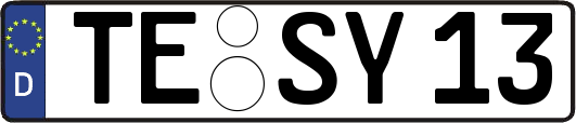 TE-SY13
