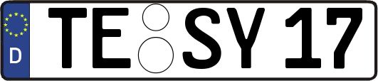 TE-SY17