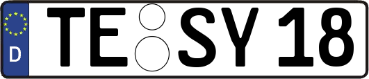 TE-SY18