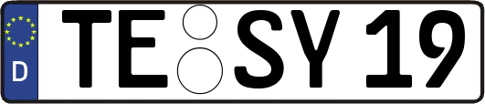 TE-SY19