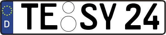 TE-SY24