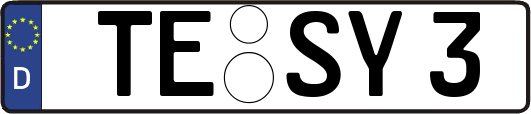 TE-SY3