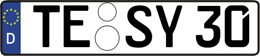 TE-SY30