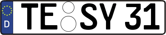 TE-SY31