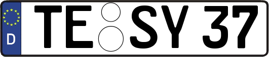 TE-SY37