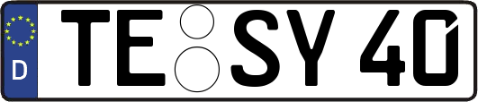 TE-SY40