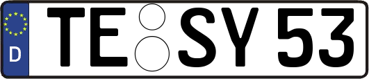 TE-SY53