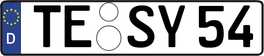 TE-SY54