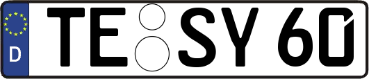 TE-SY60