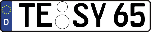 TE-SY65