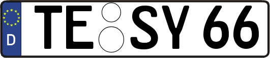 TE-SY66