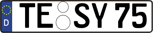 TE-SY75