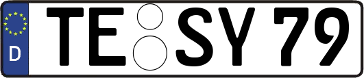 TE-SY79