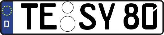 TE-SY80