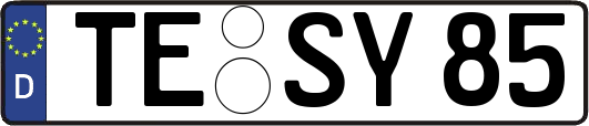 TE-SY85