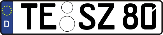 TE-SZ80