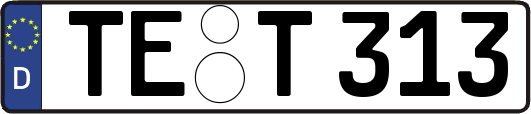 TE-T313